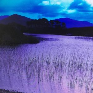 Meet your Posher, Darnell